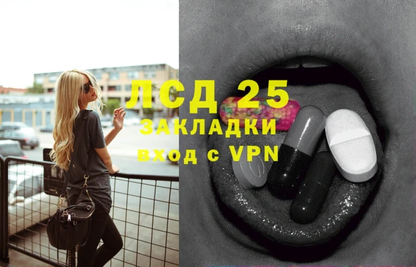 ГАЛЛЮЦИНОГЕННЫЕ ГРИБЫ Абаза
