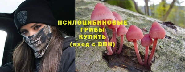кристаллы Покровск