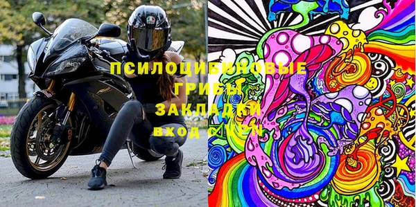 ГАЛЛЮЦИНОГЕННЫЕ ГРИБЫ Абаза