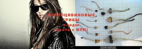 ПСИЛОЦИБИНОВЫЕ ГРИБЫ Покачи