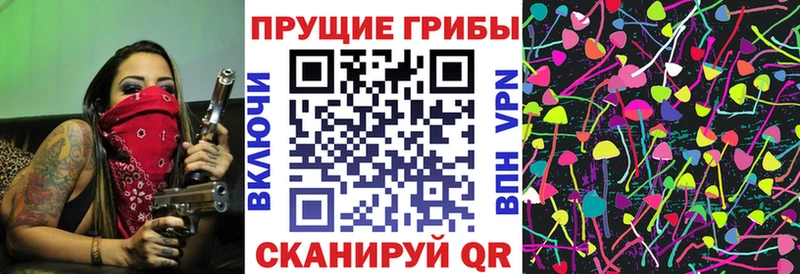 Галлюциногенные грибы GOLDEN TEACHER ОМГ ОМГ как зайти Великий Новгород